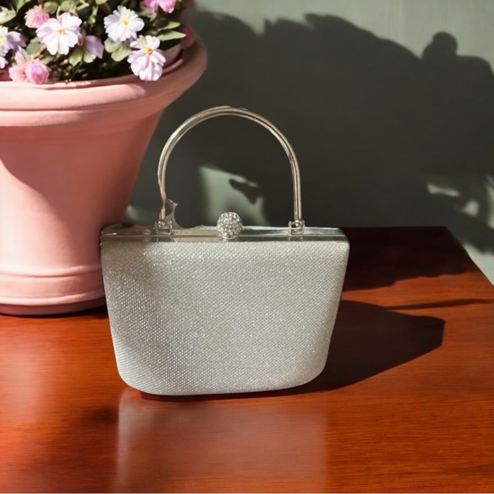 Elegant Silver Clutch
